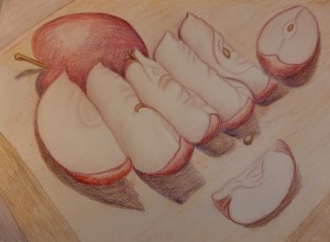 The image is an example of a drawing a day